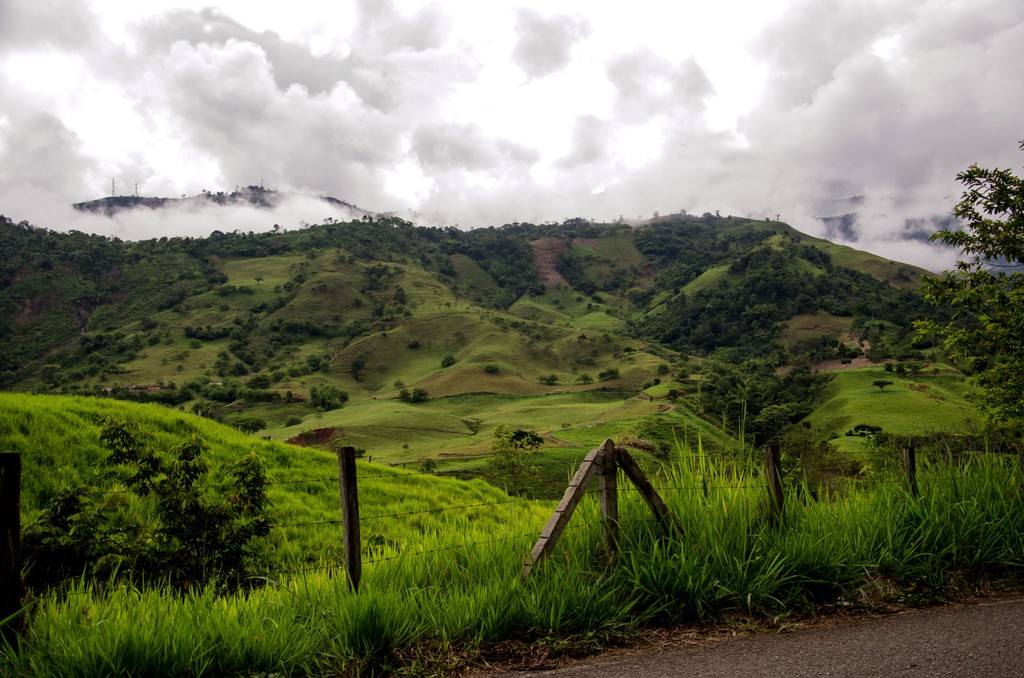 Eine Landschaftsaufnahme der Kaffeekulturlandschaft zeigt die grünen Kaffeehänge. Das Foto ist bei der Kaffee Reise nach Kolumbien, beim Besuch der Bio Fairtrade Kaffee Bauern und der Betriebsbesichtigung der Bio Fairtrade Kaffee Kooperative entstanden. Im Hintergrund sehen Sie die wunderschöne Landschaft mit den Kaffeegärten. 