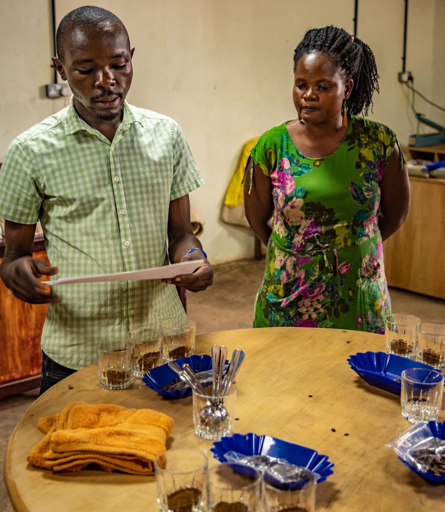Im Foto sehen Sie zwei Mitarbeiter der Kooperative beim Kaffee-Cupping. Vor ihnen am Tisch stehen die verschiedenen Kaffeesorten. Das Foto ist bei der Kaffee Reise 2019 nach Uganda, beim Besuch der Bio Fairtrade Kaffee Bauern und der Betriebsbesichtigung der Bio Fairtrade Kaffee Kooperative entstanden. Wir führen durch alle Schritte der Kaffeeernte und –Produktion. Sie sehen das Cupping des Kaffees im Labor der Kooperative.