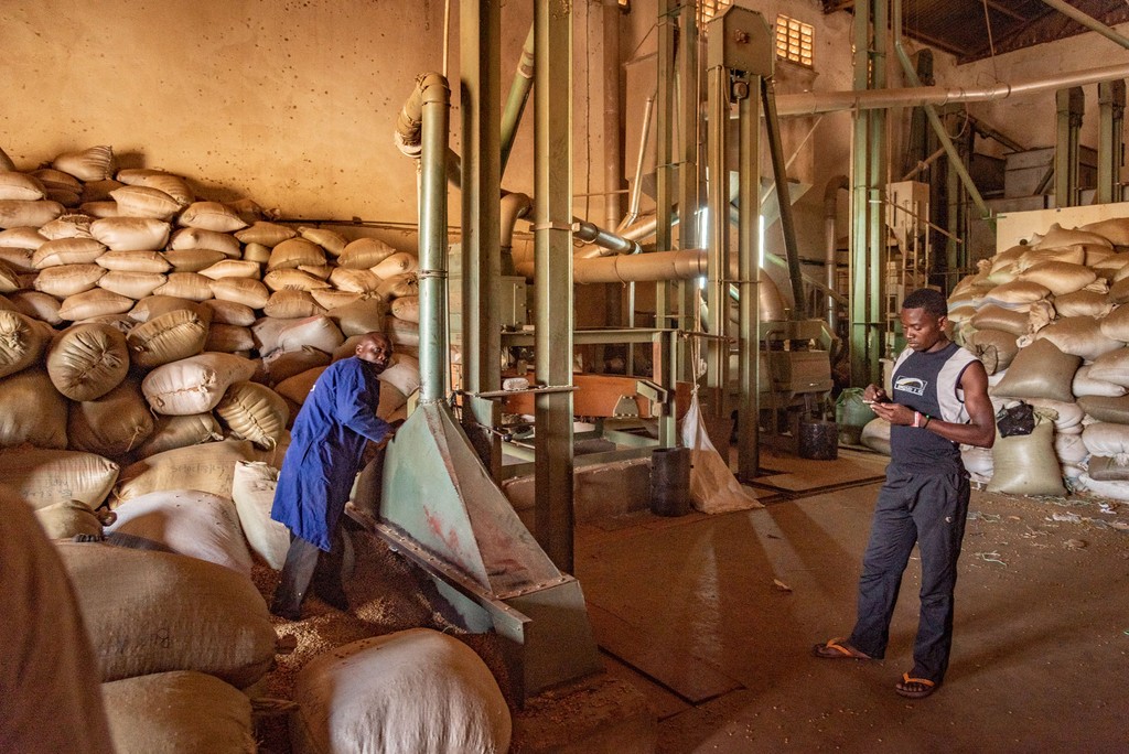 Das Foto zeigt die Kaffeefabrik der Kooperative. Zwei Mitarbeiter bedienen eine Maschine, welche die Bohnen reinigt und sortiert. Das Foto ist bei der Kaffee Reise 2019 nach Uganda, beim Besuch der Bio Fairtrade Kaffee Bauern und der Betriebsbesichtigung der Bio Fairtrade Kaffee Kooperative entstanden. Wir führen durch alle Schritte der Kaffeeernte und –Produktion.