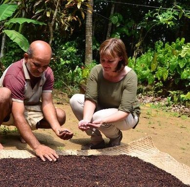 Sie sehen ein Bils von Andrea wie sie in Sri Lanka am Boden den frisch gepflückten Pfeffer begutachtet. Neben ihr kniet ein Bauer der Fairtrade Bio Gewürze Kooperative. Im Hintergrund ist der Wald zu sehen.